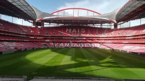 Benfica esclarece como será feito o reembolso do valor dos bilhetes