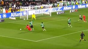 Luís Filipe Vieira: «É um período difícil mas pronto, agora vou viajar e descansar»