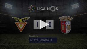 Resumo Aves-Sp. Braga