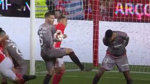 Rui Costa e a Youth League: «Todos os troféus são importantes mas o fim deste percurso é formar jogadores à Benfica»