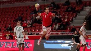 Benfica encerra ano civil com triunfo claro diante do V. Setúbal