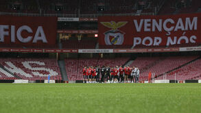 Acabaram as férias para o Benfica: plantel já trabalhou na Luz