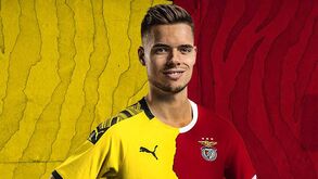 Weigl oficializado no Benfica: os valores do negócio