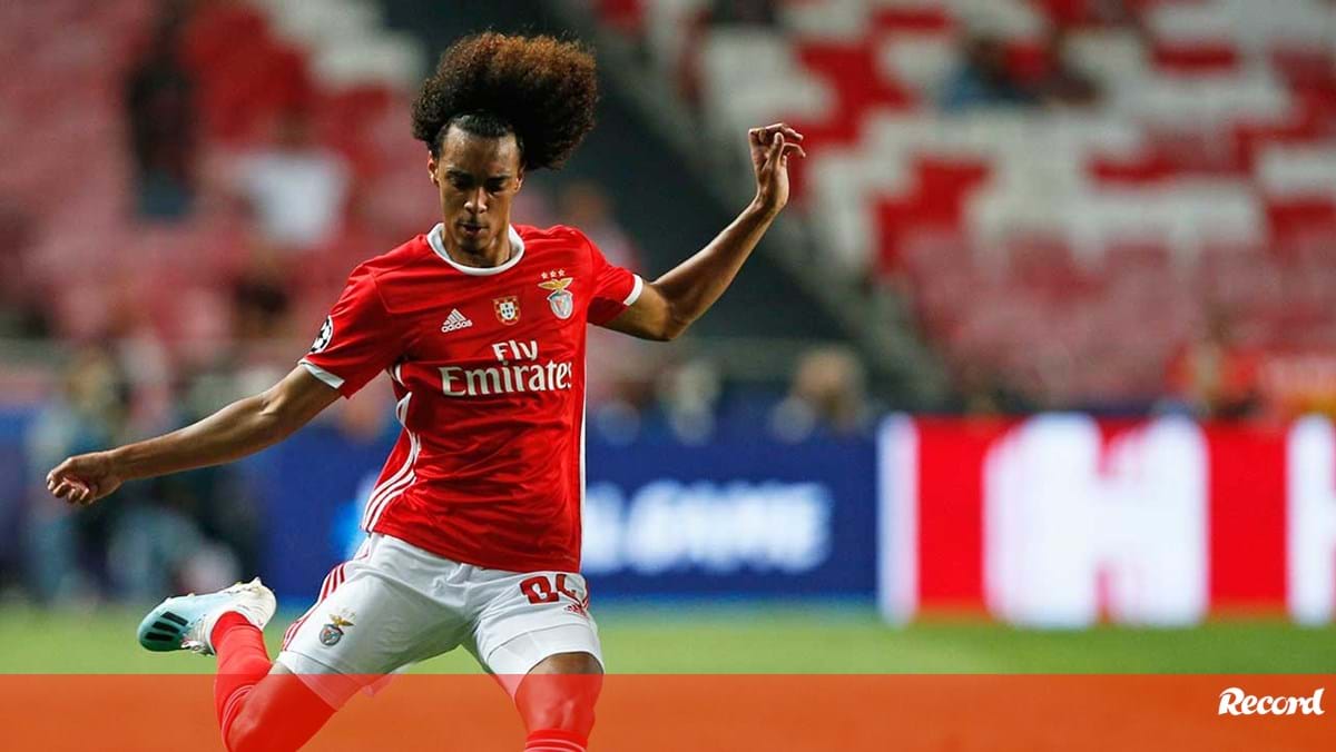 Tomás Tavares em vantagem - Benfica - Jornal Record