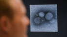 virus coronavirus