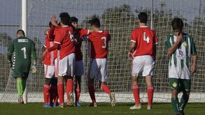 Benfica de regresso às vitórias