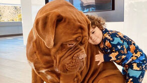 A foto do gigantesco cão de Messi que toca toda a gente