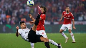 Jogo de paciência por Bruno Guimarães