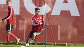 Weigl vai a jogo frente ao Aves