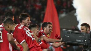 André Almeida agarrado à câmara, Weigl e até camisola de João Félix: as imagens do Benfica-Aves