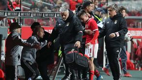 Cervi e Chiquinho recuperáveis 