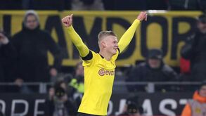 Haaland não pára: os números incríveis da nova máquina de golos da Europa