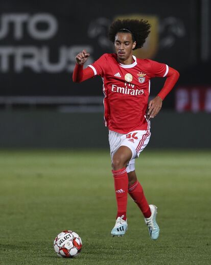 Tomás Tavares