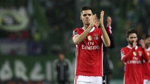 Julian Weigl apto para o Dragão