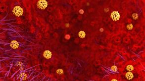 Confirmada segunda morte por coronavírus em Itália