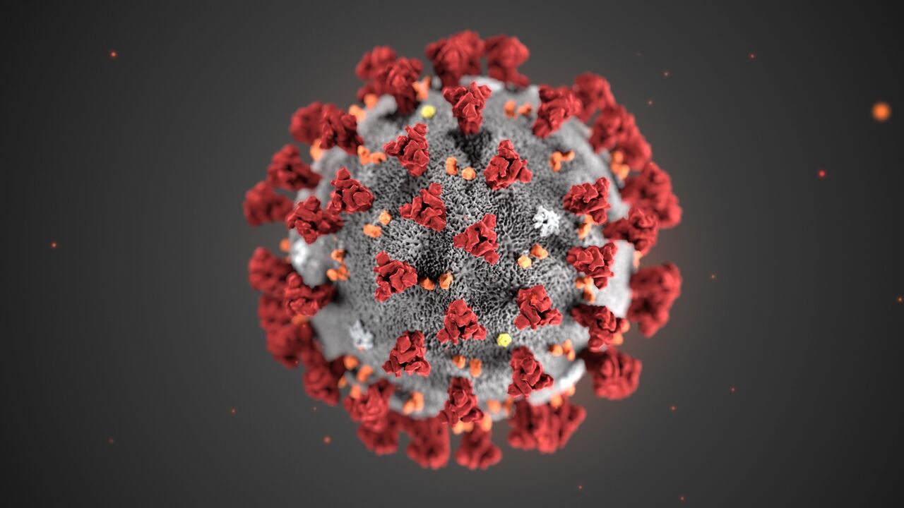 Coronavirus virus china
