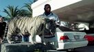 Mike Tyson lembra como comprou o seu primeiro tigre: tudo começou na prisão...