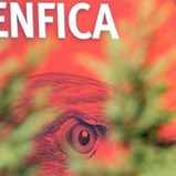 Olivedesportos vende todas as ações que detinha na Benfica SAD