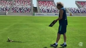 «Vai embora!»: Lagarto invadiu relvado antes do treino do Flamengo e deu luta a Jorge Jesus
