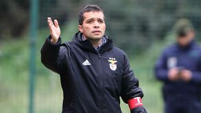 Benfica não viaja para jogar com Swansea na Premier League International Cup