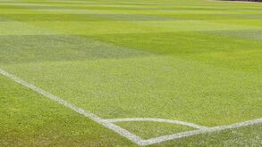 Coronavírus: Porto e Braga sem futebol, resto do país restrito a seniores (ATUALIZADA)