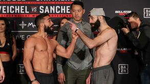 Pitbull em 'bate boca' com Pedro Carvalho: «Sabia que os portugueses eram burros... mas tanto?»