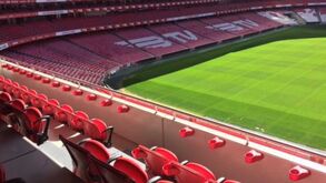 Da monitorização diária à alimentação rigorosa: o acompanhamento detalhado aos jogadores do Benfica