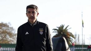 Informação sobre o plantel do Benfica na palma da mão 