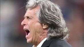 Coronavírus: Jorge Jesus 