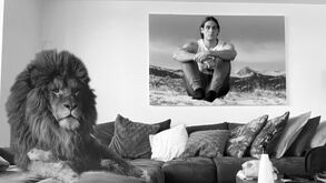 O dia em que Gonçalo Paciência perdeu o lugar no sofá para um... leão