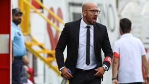 José Faria: «Temos de aceitar a decisão do fim dos campeonatos dos escalões de formação»