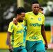 Yerry Mina