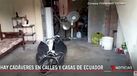 Drama no Equador: há relatos de cadávares espalhados nas ruas