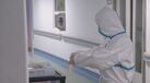 coronavirus covid-19 relatorio boletim