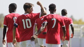 Benfica aposta na prata da casa: os jovens da formação encarnada mais bem cotados