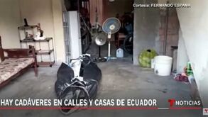 Drama no Equador: «Deixam as pessoas mortas nas ruas. É muito f... o que se está a passar»