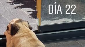 Llorente ainda celebra bis ao Liverpool: agora chamou Anfield ao cão