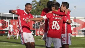 Aposta na formação ganha novo fôlego no Benfica: eis os jovens mais cotados