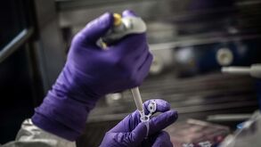 Vacina contra o coronavírus estará pronta em setembro: a garantia de investigadora de Oxford