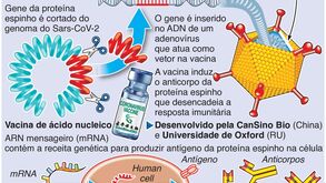 Já há mais de 70 vacinas contra o coronavírus em desenvolvimento