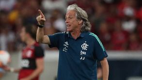 Jorge Jesus eleito o melhor treinador da história do Flamengo