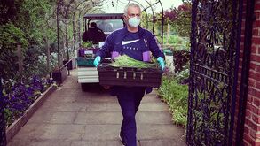 Mourinho distribui legumes da horta do Tottenham por quem mais precisa