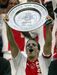 11. Van der Vaart (21 anos, Ajax) - A escola Ajax nunca dececiona e Van der Vaart é só mais um exemplo disso mesmo. Médio criativo holandês canhoto fazia o que queria com a bola nos pés, especialmente nos lances de bola parada. Esteve em grande nível ainda no Hamburgo, da Alemanha, e no Tottenham, de Inglaterra. Pendurou as chuteiras em 2018, nos noruegueses do Esbjerg.