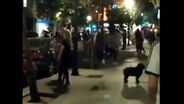 Depois das imagens de dia, a noite de Madrid foi também de aglomerados e festa