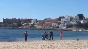 Cena surreal em Ibiza: três detidos por desobediência e tentativa de afogamento de um polícia