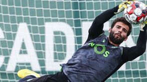 Leões retomam treinos coletivos respeitando as distâncias de segurança