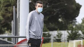 Benfica divulga primeiras imagens do regresso aos treinos no Seixal