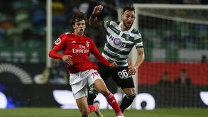 Gudelj compara Benfica-Sporting ao dérbi sevilhano: «Aqui nem podes dormir»