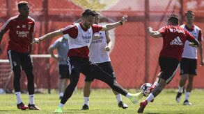 Benfica voltou aos treinos de conjunto: veja as imagens