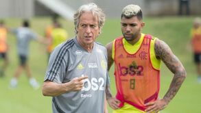 Coronavírus: Flamengo de Jorge Jesus volta ao trabalho com exames e testes físicos